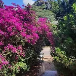 بيت للعطل Terrazza Paradiso كوستا باراديسو