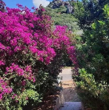Casa vacanze Terrazza Paradiso Costa Paradiso