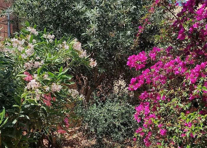 Terrazza Paradiso Ferienhaus Costa Paradiso